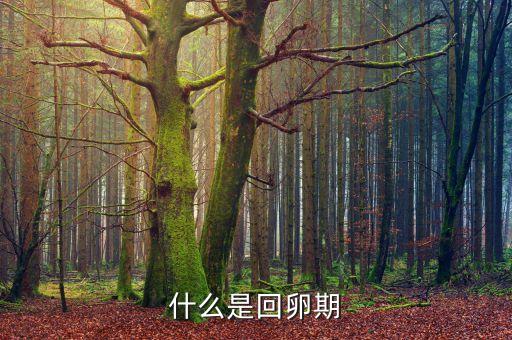 什么是回溯期，什么是回卵期