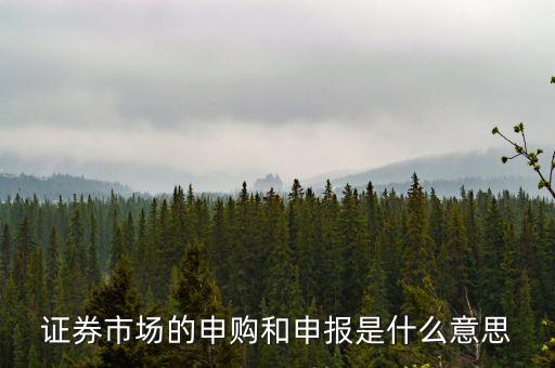 金融行業(yè)中的逐日申報是什么意思，外貿(mào)中到到銀行申報是什么意思申報什么呢哪位高人指點(diǎn)一下謝