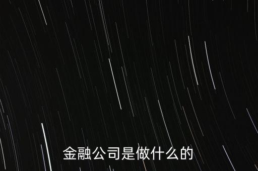 美國住宅金融公司是干什么的，房地美和房利美在美國算什么性質(zhì)的金融機(jī)構(gòu)
