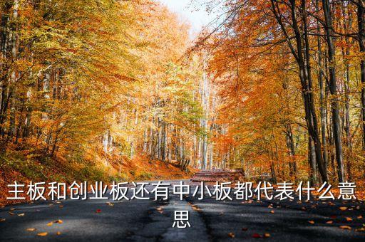 滬市主板是什么意思，什么是主板中小板和創(chuàng)業(yè)板它們都是干什么的請(qǐng)用白話簡短精