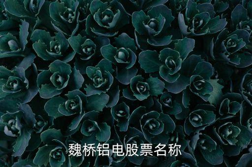 宏橋跟魏橋什么關(guān)系，宏橋中學怎么退學費