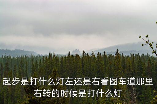 駕駛打右燈和左燈什么意思啊，起步是打什么燈左還是右看圖車道那里右轉(zhuǎn)的時(shí)候是打什么燈