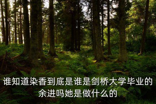 麥肯錫合伙人是什么，誰知道染香到底是誰是劍橋大學(xué)畢業(yè)的余進(jìn)嗎她是做什么的