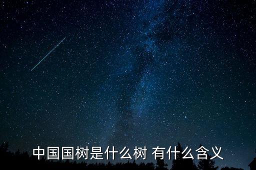 中國(guó)質(zhì)造是什么，中國(guó)國(guó)樹(shù)是什么樹(shù) 有什么含義