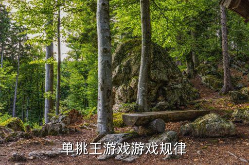 單挑王游戲機(jī)為什么能包賺不賠，單挑王游戲游戲規(guī)律