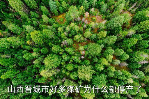 為什么礦山現(xiàn)在停產(chǎn)，為什么現(xiàn)在的礦業(yè)幾乎全部停產(chǎn)