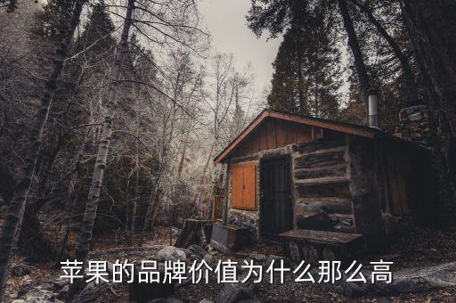 蘋果市值為什么那么高，蘋果的品牌價(jià)值為什么那么高