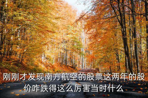 南航美股是什么意識，海南航空股票前帶lr300什么意思