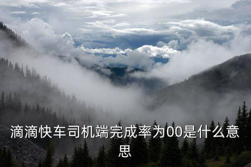 滴滴快車完成率是什么意思，滴滴快車成交率百分之零啥意思