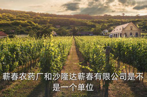 蘄春汪潮涌投資了什么，蘄春農(nóng)藥廠和沙隆達(dá)蘄春有限公司是不是一個(gè)單位