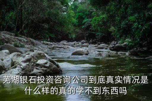 伯威控股是什么，威凌控股公司是做什么的