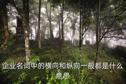 什么是企業(yè)橫向發(fā)展，什么是橫向一體化