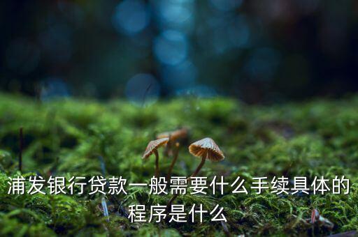 浦發(fā)銀行網(wǎng)貸通要什么條件，TB支持浦發(fā)  浦發(fā)開通網(wǎng)銀要什么條件比如要帶點(diǎn)什么的