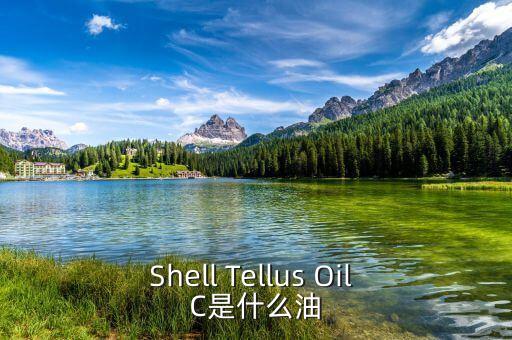 權(quán)益油是什么，Shell Tellus Oil C是什么油