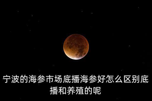 什么是底播海參，底播海參和非底播海參有什么區(qū)別