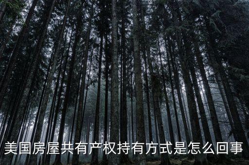 什么是共有產權產權模式，美國房屋共有產權持有方式是怎么回事