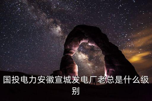 國電投什么級別，中國國電集團是什么級別