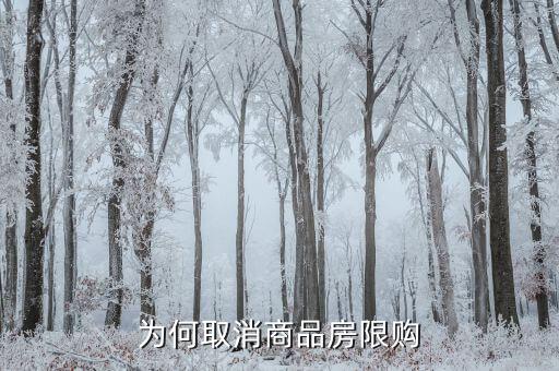 為什么要取消限購(gòu)，為何又要取消房屋限購(gòu)