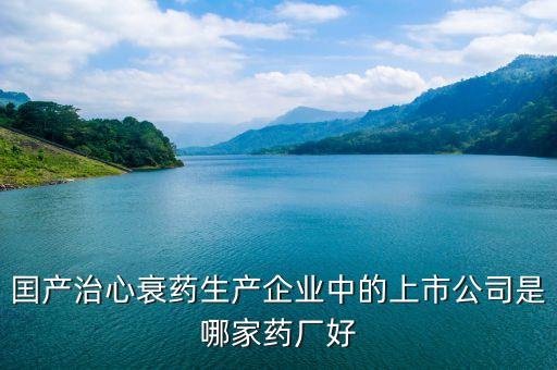 囯產(chǎn)治心衰藥生產(chǎn)企業(yè)中的上市公司是哪家藥廠(chǎng)好