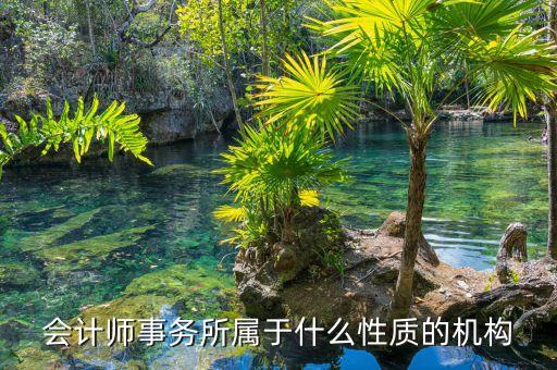 鄭商所期衍所屬于什么性質(zhì)，會(huì)計(jì)師事務(wù)所屬于什么性質(zhì)的機(jī)構(gòu)