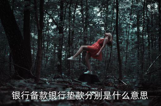 墊款是什么意思，還墊款是什么意思