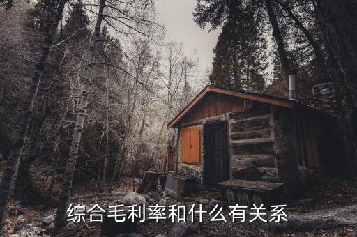什么是綜合毛利，綜合毛利率和什么有關(guān)系