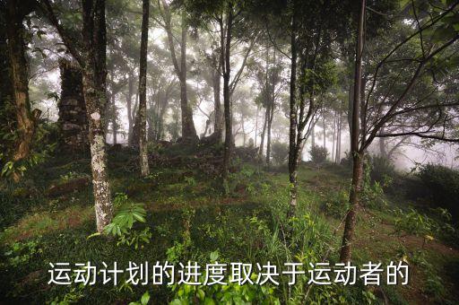 進(jìn)度安排的靈活性是什么決定，運(yùn)動(dòng)計(jì)劃的進(jìn)度取決于運(yùn)動(dòng)者的