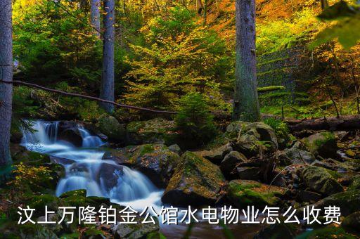 汶上萬(wàn)隆鉑金公館水電物業(yè)怎么收費(fèi)