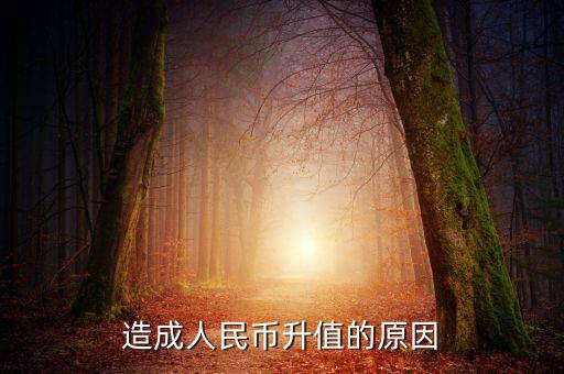 為什么貨幣升值，為什貨幣會(huì)升值