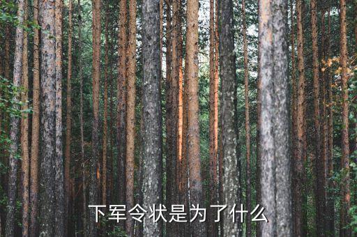 軍令狀目的是什么，下軍令狀是為了什么