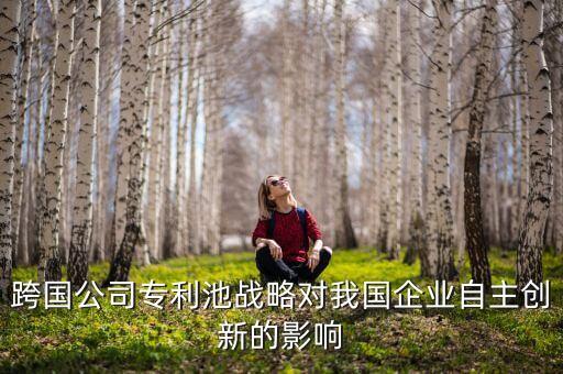 北京君正是什么公司，跨國(guó)公司專利池戰(zhàn)略對(duì)我國(guó)企業(yè)自主創(chuàng)新的影響