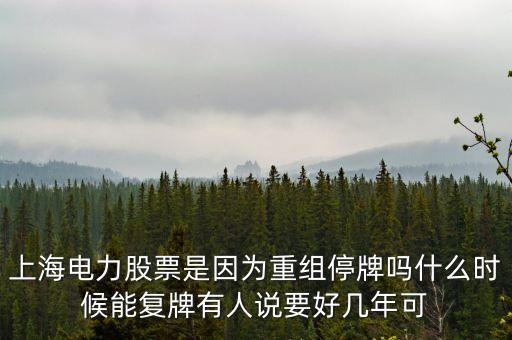 上海電氣什么時間復牌，上海電力股票是因為重組停牌嗎什么時候能復牌有人說要好幾年可