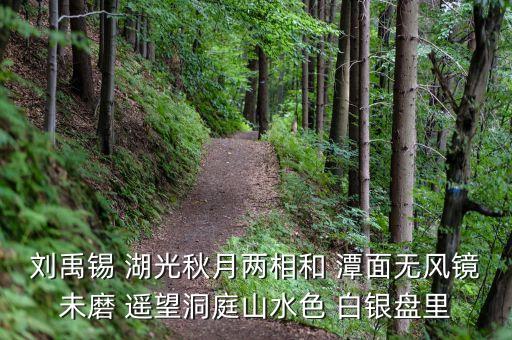 君山股份是做什么，劉禹錫 湖光秋月兩相和 潭面無風(fēng)鏡未磨 遙望洞庭山水色 白銀盤里