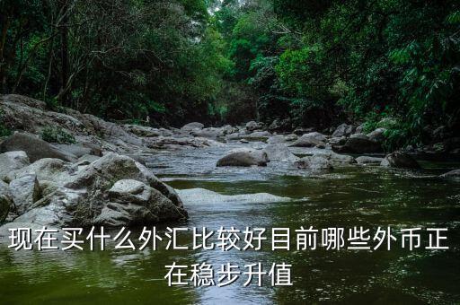近期買什么外匯，預(yù)測(cè)人民幣匯率走勢(shì)是怎樣的 炒外匯現(xiàn)在買哪對(duì)外匯比較好