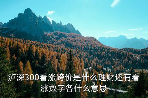 看漲跨價什么意思，理財 滬深300看漲跨價好不好