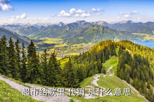 金融學(xué)里的什么是代銷(xiāo)，超市結(jié)款里 代銷(xiāo) 是什么意思