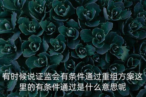 重組項(xiàng)目過(guò)會(huì)是什么意思，資產(chǎn)重組獲股東大會(huì)高票通過(guò)什么意思