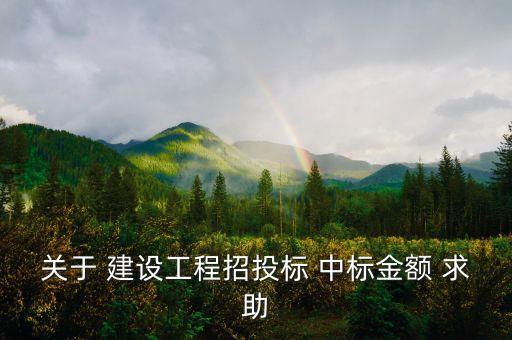 中標(biāo)金額是什么，關(guān)于 建設(shè)工程招投標(biāo) 中標(biāo)金額 求助