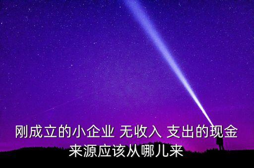 小企業(yè)主為什么沒現(xiàn)金，剛成立的小企業(yè) 無收入 支出的現(xiàn)金來源應(yīng)該從哪兒來