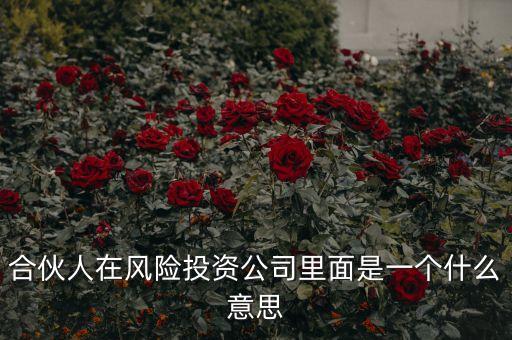 vc合伙人是什么，風(fēng)險(xiǎn)投資公司中的合伙人和經(jīng)理人都是什么意思