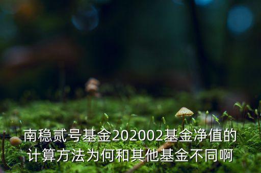 南穩(wěn)二號為什么要分紅，南穩(wěn)貳號基金202002基金凈值的計算方法為何和其他基金不同啊