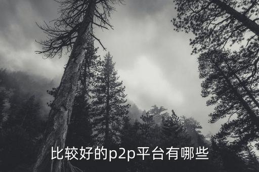 什么p2p平臺(tái)比較靠譜，請(qǐng)問國(guó)內(nèi)P2P平臺(tái)哪家比較安全可靠點(diǎn)想了解下