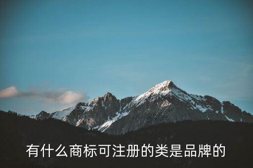 劉陽的全盛集團(tuán)的注冊(cè)商標(biāo)是什么，有什么商標(biāo)可注冊(cè)的類是品牌的
