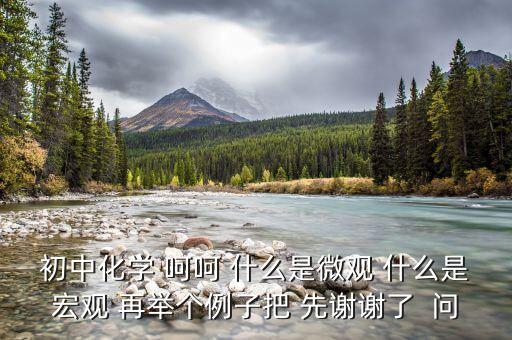 什么是宏觀事實(shí)，初中化學(xué) 呵呵 什么是微觀 什么是宏觀 再舉個(gè)例子把 先謝謝了  問(wèn)