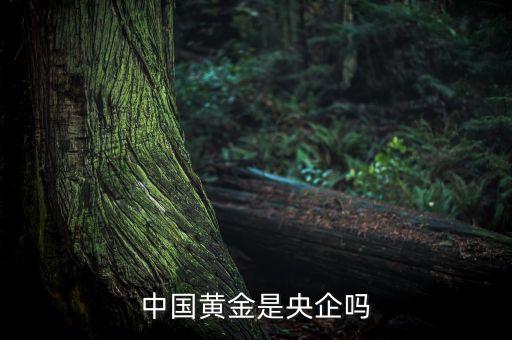 中國黃金為什么是央企品牌，中國黃金在各城市的店鋪是中國黃金直營的還是加盟的如果是直營