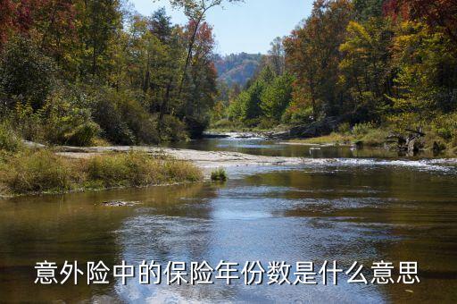 保險數(shù)目指什么，意外險中的保險年份數(shù)是什么意思