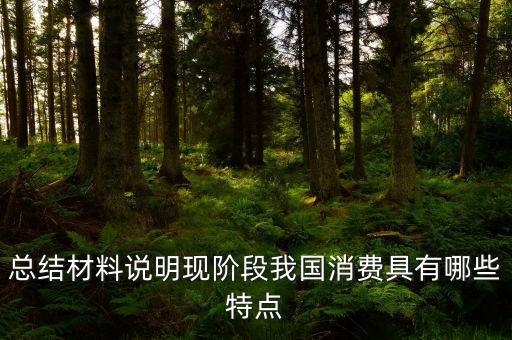 從材料的數(shù)據(jù)中反映了當(dāng)前消費(fèi)的什么特點(diǎn)，總結(jié)材料說(shuō)明現(xiàn)階段我國(guó)消費(fèi)具有哪些特點(diǎn)