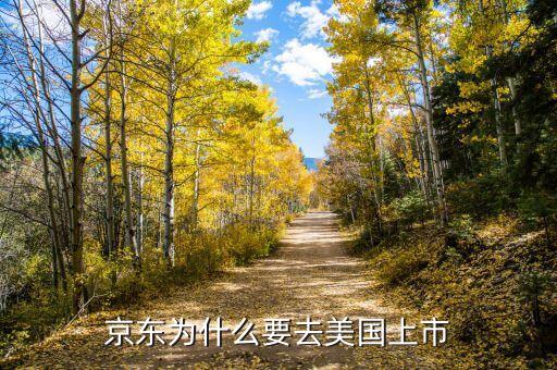 中國企業(yè)為什么去美國上市，為什么國內(nèi)的公司好多是在美國上市比如國內(nèi)的許多網(wǎng)游公司像盛
