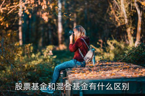 混合基金和股票基金有什么區(qū)別，混合基金和股票基金的區(qū)別在哪