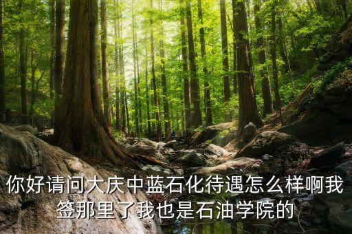 中藍(lán)石化總公司是什么公司，中藍(lán)集團(tuán)是那一年成立的